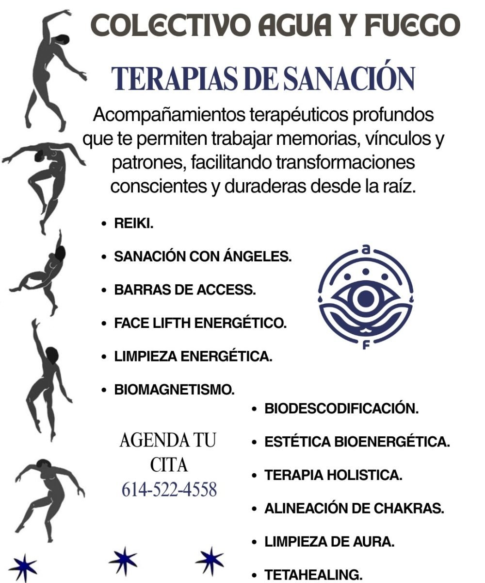 whatsapp image 2026 02 04 at 17.55.32 (1)