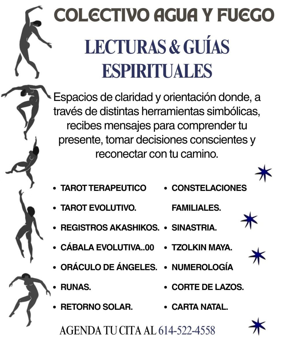 whatsapp image 2026 02 04 at 17.55.32